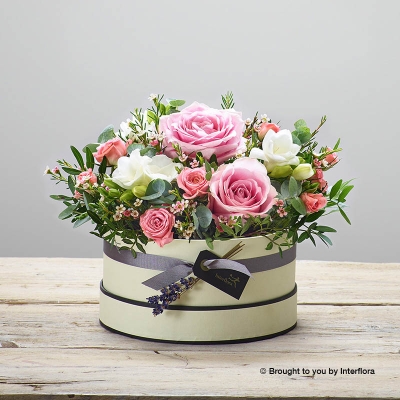 Rose Blush New Baby Hatbox with James Junior Bear