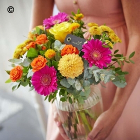 Autumn Flowers